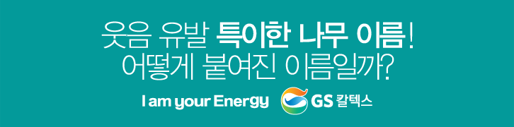 이 나무는 먼나무? 특이한 나무 이름 유래까지 쏙쏙! | banner01 1