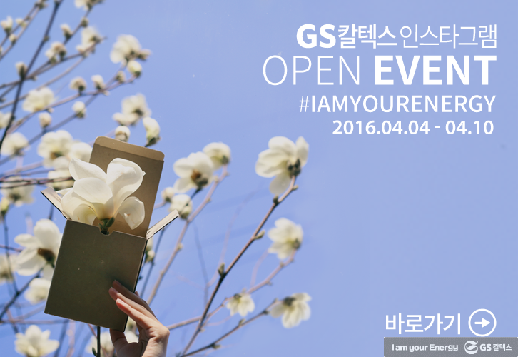 이 나무는 먼나무? 특이한 나무 이름 유래까지 쏙쏙! | gsc insta event MH 2