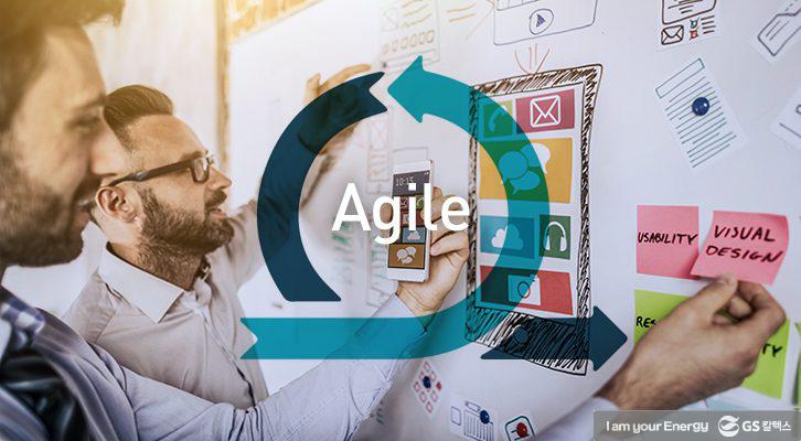 변화에 대한 현명한 대응, 애자일(Agile)