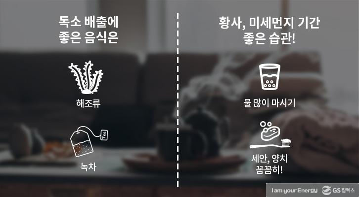 닮은 듯 다른 황사와 미세먼지, 그 차이는 무엇일까? | GSC BP MH 20170227 7 1