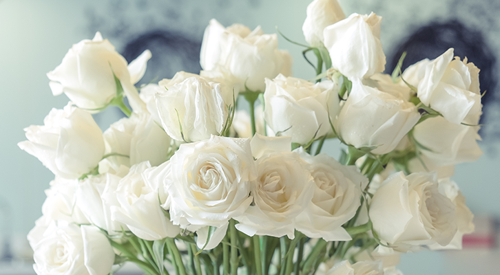 [생활 속 에너지] 로즈데이 장미 색깔 별 꽃말 | GSC MH the languaage of flowers rose color 20190514 03 1