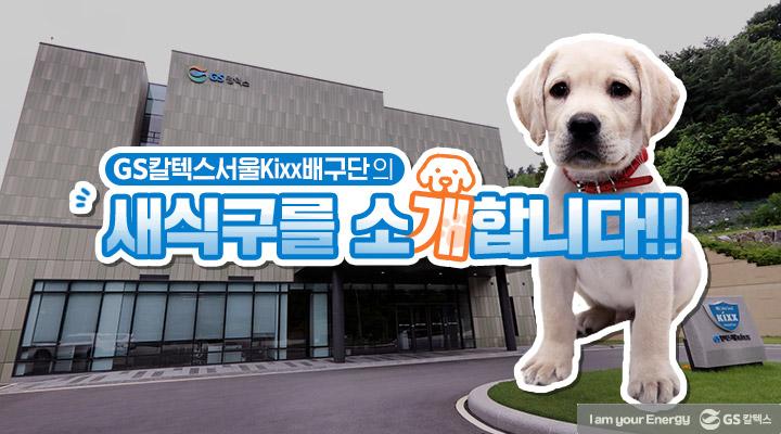 GS칼텍스의 2020년을 회고하다 | magazine volleyball mascot dog thumb2