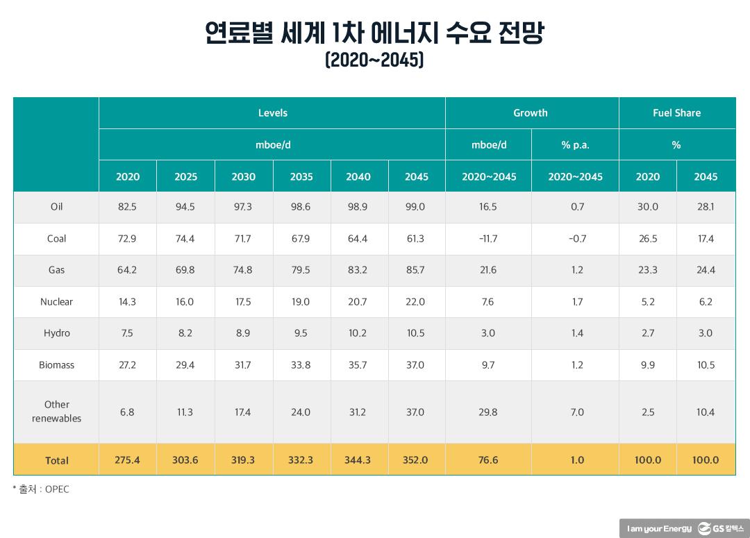 ‘2045년 석유 비중 가장 높고 내연기관차 주도’ OPEC 전망 근거는! | 20211015 01 03