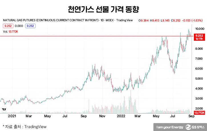 불가항력 사태로 발생한 일시적 횡재, 거위 배 가르는게 답인가? | 0907 횡재세 2