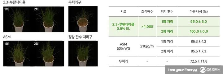 자연에서 찾은 답, GS칼텍스 2,3-부탄다이올(2,3-BDO) 장영실상 수상 | magazine 2020 ir52 awards 03