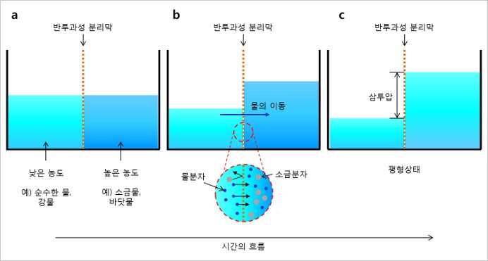 생활 속의 에너지 – 바다와 강이 만나면 전기가 생긴다!!?