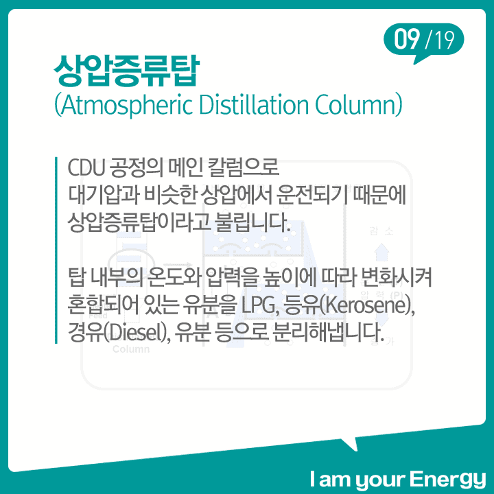 우리집 CDU 4둥이를 소개합니다