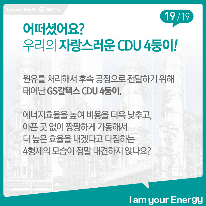 우리집 CDU 4둥이를 소개합니다