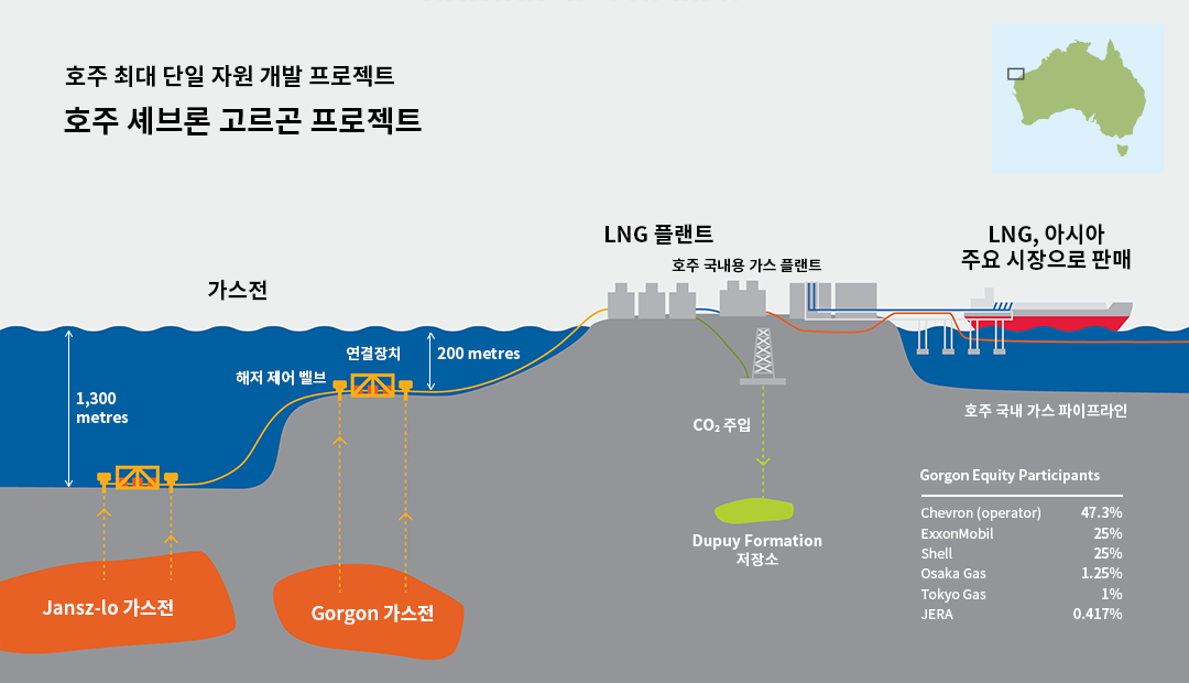 이산화탄소 포집과 저장, 선택인가 필수인가