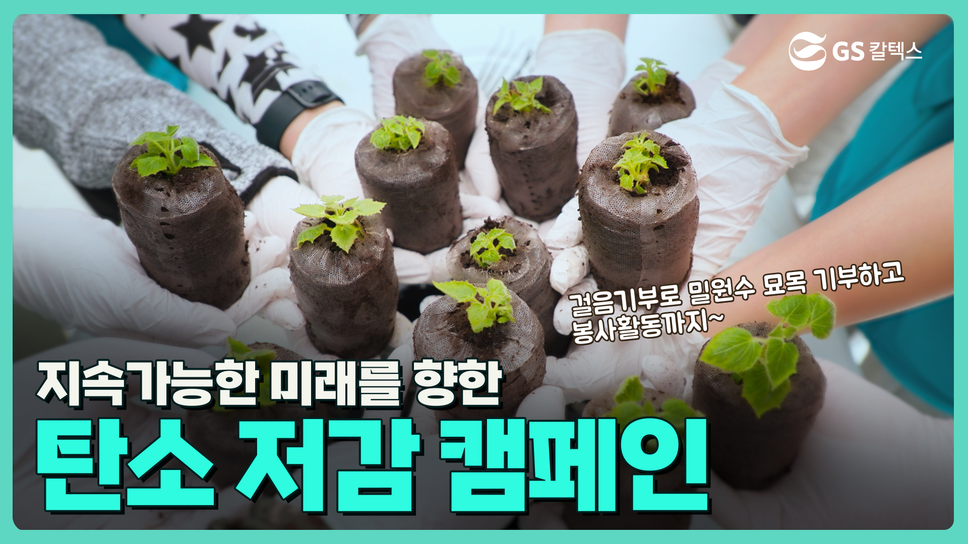 지속가능한 미래를 향한 탄소 저감 캠페인